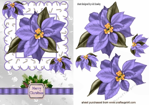 pretty lilac poinsettias with bow & holly A5