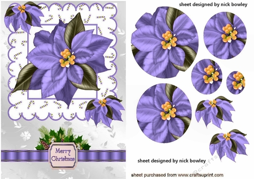 pretty lilac poinsettias with bow & holly A5 oval pyramids