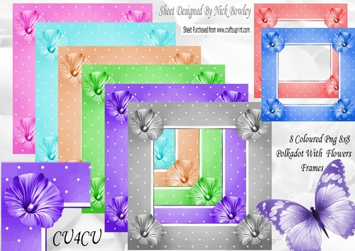8 Coloured 8x8 Polkadot with flowers frames in png