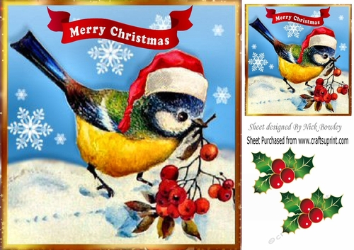 painted little bird in santa hat with holly 8x8