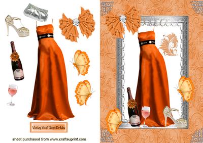 Pretty Ladies Evening Gown
