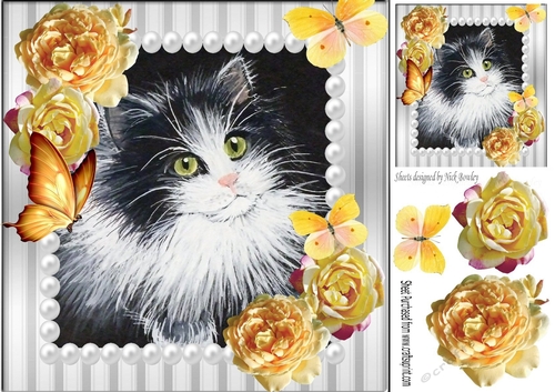 pretty painted black and white kitten with pearl & yellow roses 8x8