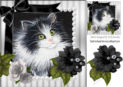 pretty painted black and white kitten with pearl, bow and black roses 8x8