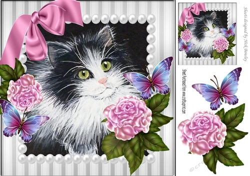 pretty painted black and white kitten with pearl, pink bow and  roses 8x8