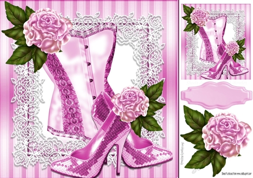 pretty pink basque and sequin shoes on lace with roses 8x8