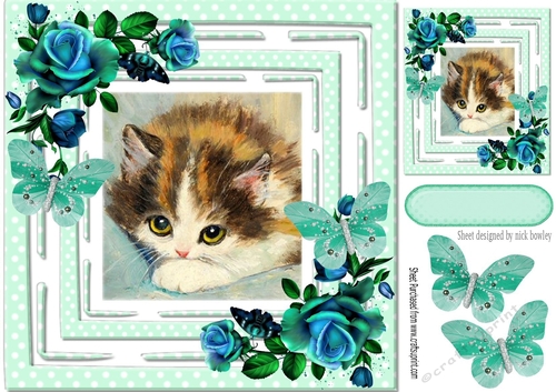 pretty kitten in polkadot frame with turq roses 8x8