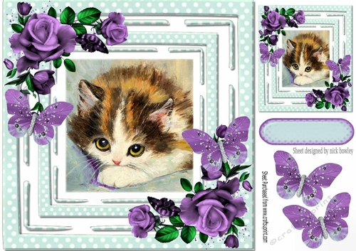 pretty kitten in polkadot frame with purple roses 8x8