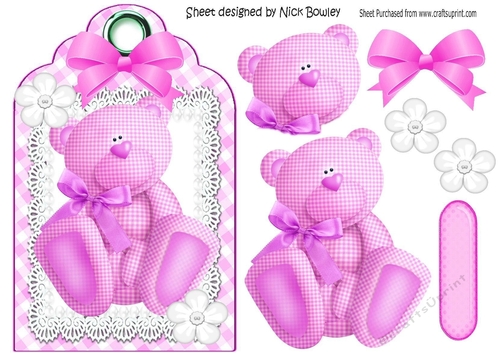 Lovely cerise gingham bear on a tag with lace & bow
