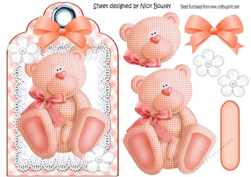 Lovely peach gingham bear on a tag with lace & bow