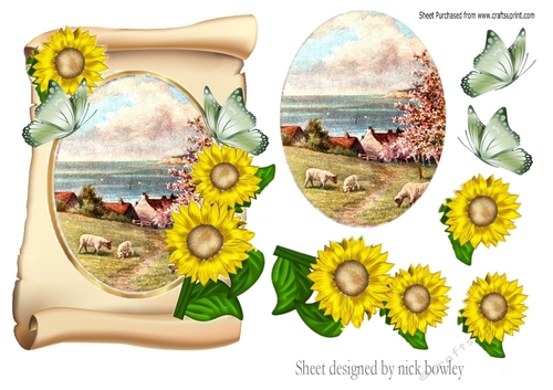lovely scene of cornwall with sheep and sunflowers on a scroll