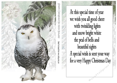 Snowy white owl in the snow with  fir tree and insert A5