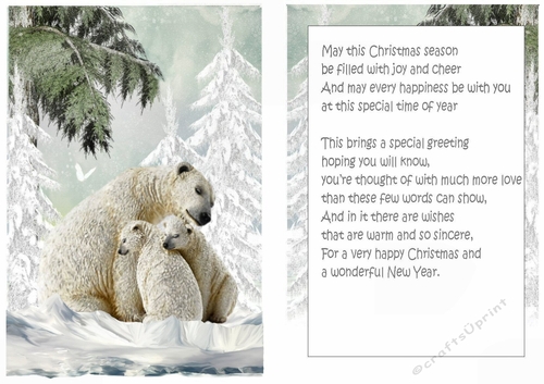 Snowy white polar bear family in the snow with  fir tree and insert A5