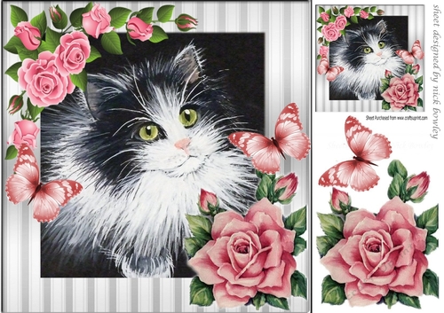 lovely painted black and white kitten with pink roses & butterflies 8x8