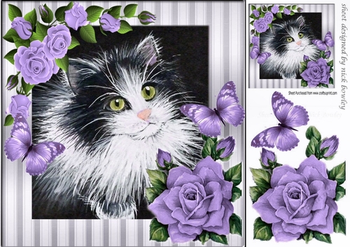 lovely painted black and white kitten with lilac roses & butterflies 8x8