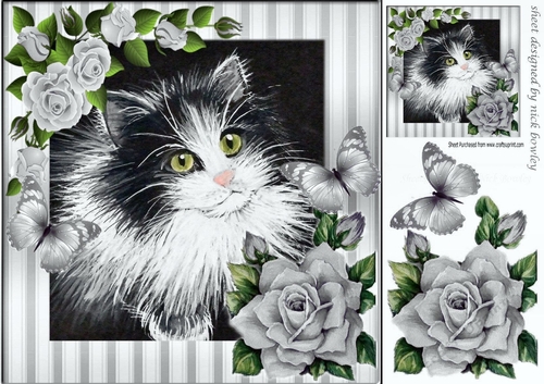 lovely painted black and white kitten with silver roses & butterflies 8x8