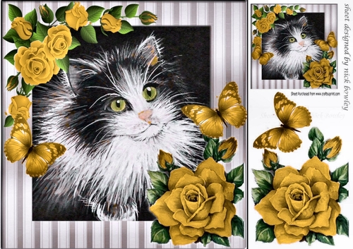 lovely painted black and white kitten with gold roses & butterflies 8x8