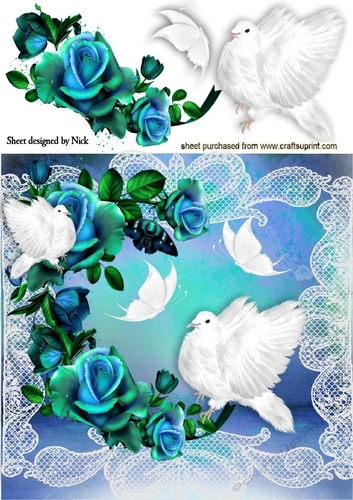 Beautiful white doves with lace and blue roses 8x8