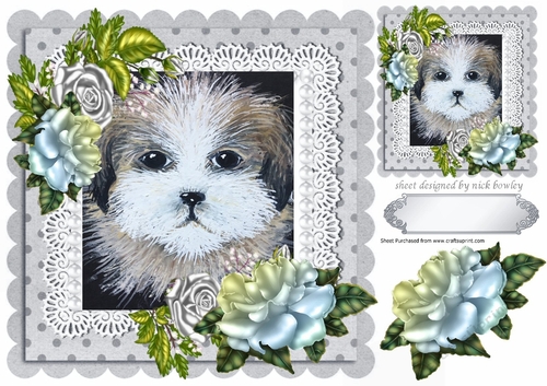 Lovely painted puppy with blue shaded roses & lace 8x8