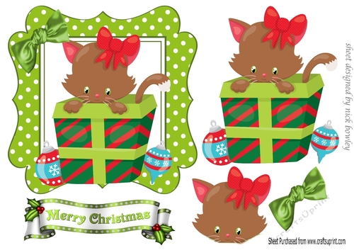 Peek a boo kitty in christmas present with bow