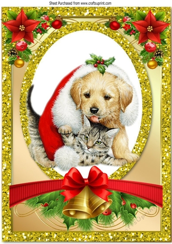 Cute puppy with kitten in santa hat in glitter frame A4
