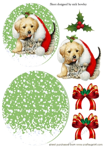 Cute puppy with kitten in santa hat with bows rocker card