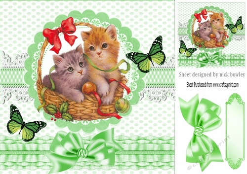 cute kittens in a basket with bow & butterflies 8x8