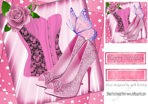 pretty pink painted rose with basque & shoes on starburst frame 8x8