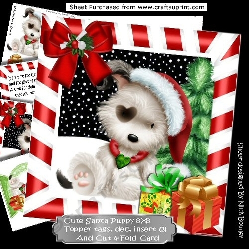 Cute puppy in santa hat with presents 8x8 Mini kit