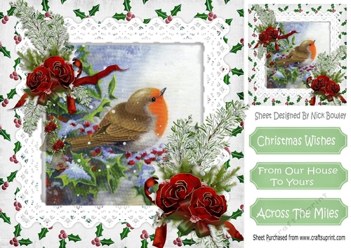 lovely robin in the snow, with winter red roses 8x8