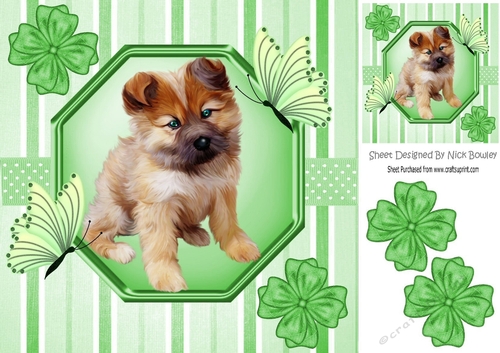Gorgeous little puppy with corner bows & stripes & polkadots 8x8