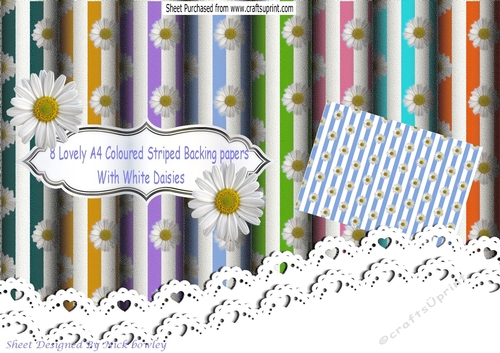 8 Lovely A4 Coloured Striped Backing Papers with white Daisies