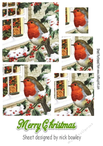 Lovely robin in the snow with holly pyramids