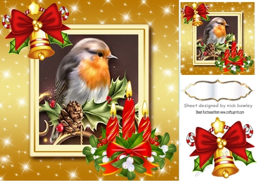 Robin in gold star frame with candles & holly 8x8