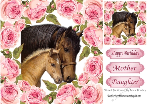 pretty horses framed with pink roses 8x8