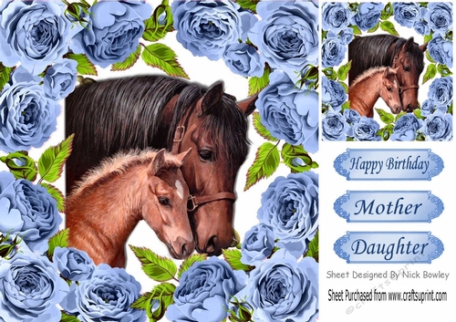 pretty horses framed with blue roses 8x8