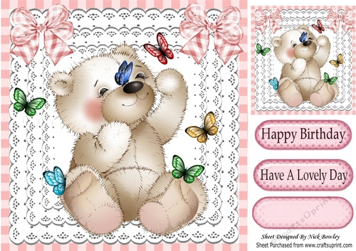 cute little bear playing with butterflies on lace with bows 8x8