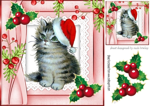Cute little kitten in santa hat on lace with holly 8x8