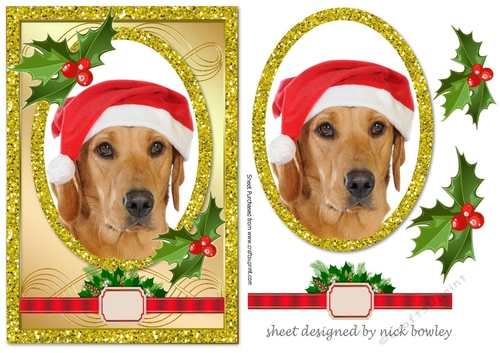 Labrador in santa hat with holly A5