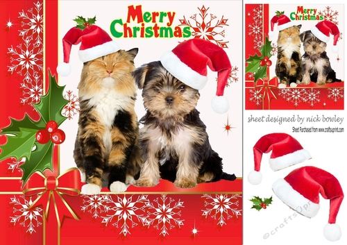 Dont be shy! look at the camera kitten & puppy in santa hats 8x8