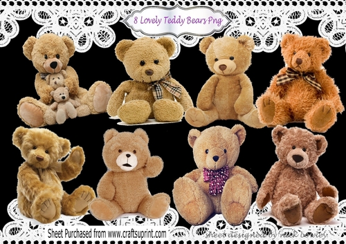8 Lovely cuddly Brown Teddy bears in Png