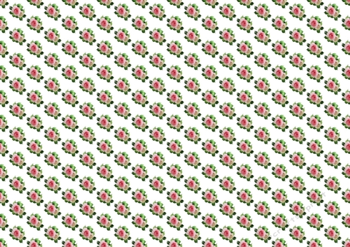 pretty pink and white roses backing paper