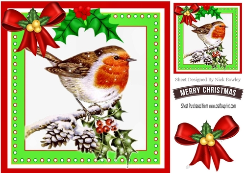 Lovely robin on a branch on pine cones with snow 8x8