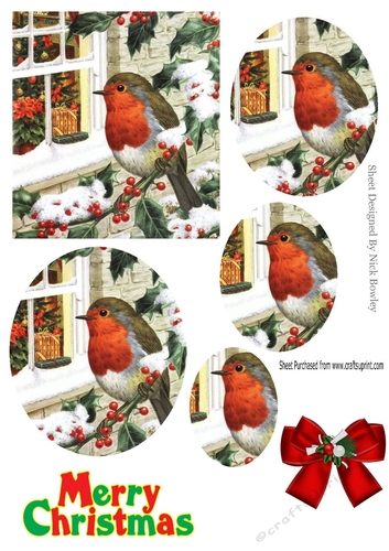 Lovely robin in the snow round pyramids