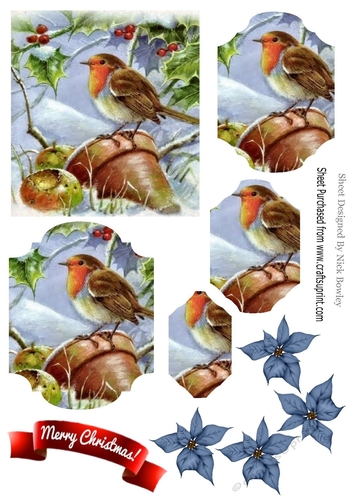 Robin with flowers pots in the snow bracket pyramids