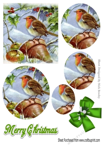 Robin with flowers pots in the snow circle  pyramids