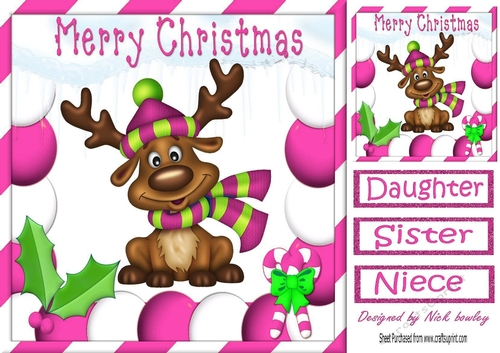 Cute reindeer in cerise festive frame 8x8