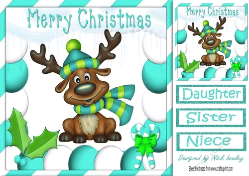 Cute reindeer in turq festive frame 8x8