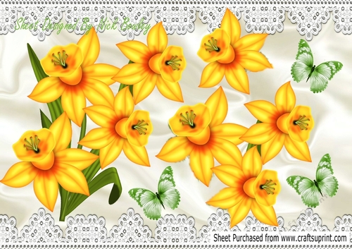pretty yellow daffodils with green butterflies in png