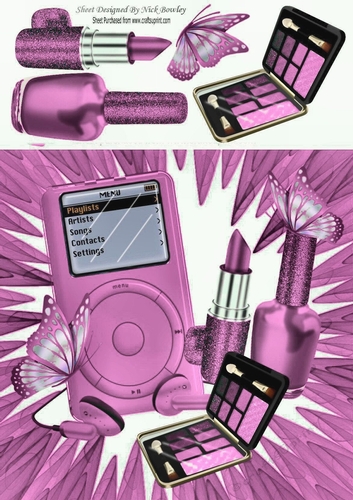 pink MP3 Player, with ladies Accessories & butterflies 8x8