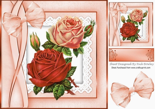 pretty vintage peach roses on lace in ornate frame 8x8